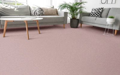 Best Local Supplier For Carpets In Rustington